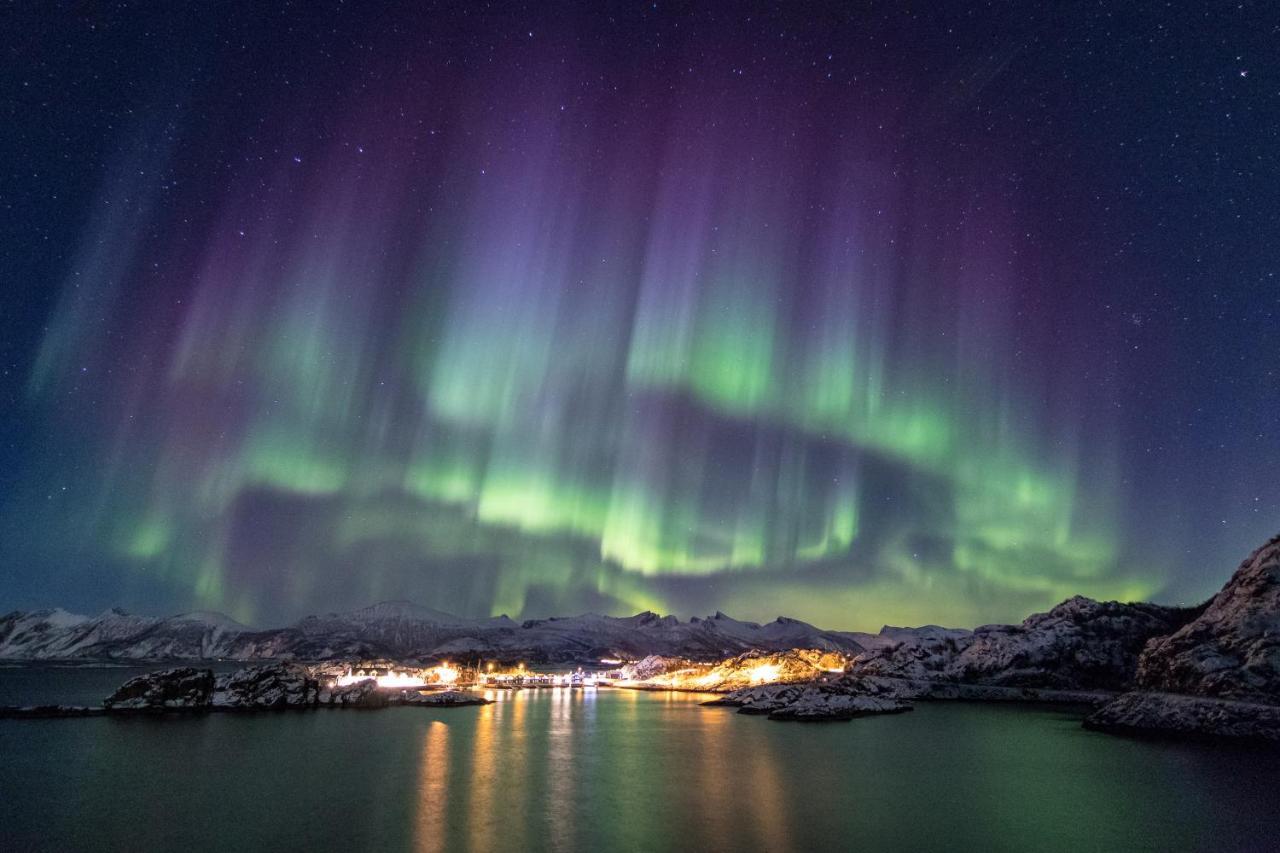 Hotel Hamn I Senja Exterior foto